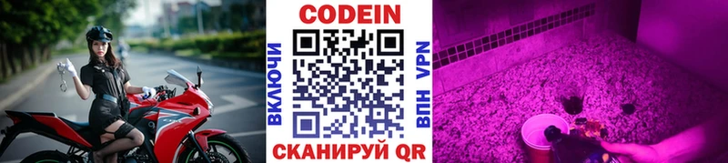 цена наркотик Валдай Codein напиток Lean (лин)