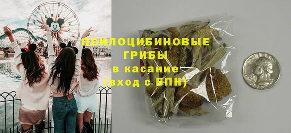 молекула духа Коряжма